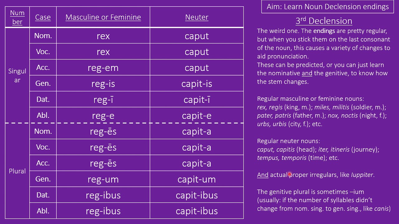 Learning Latin Noun Declensions