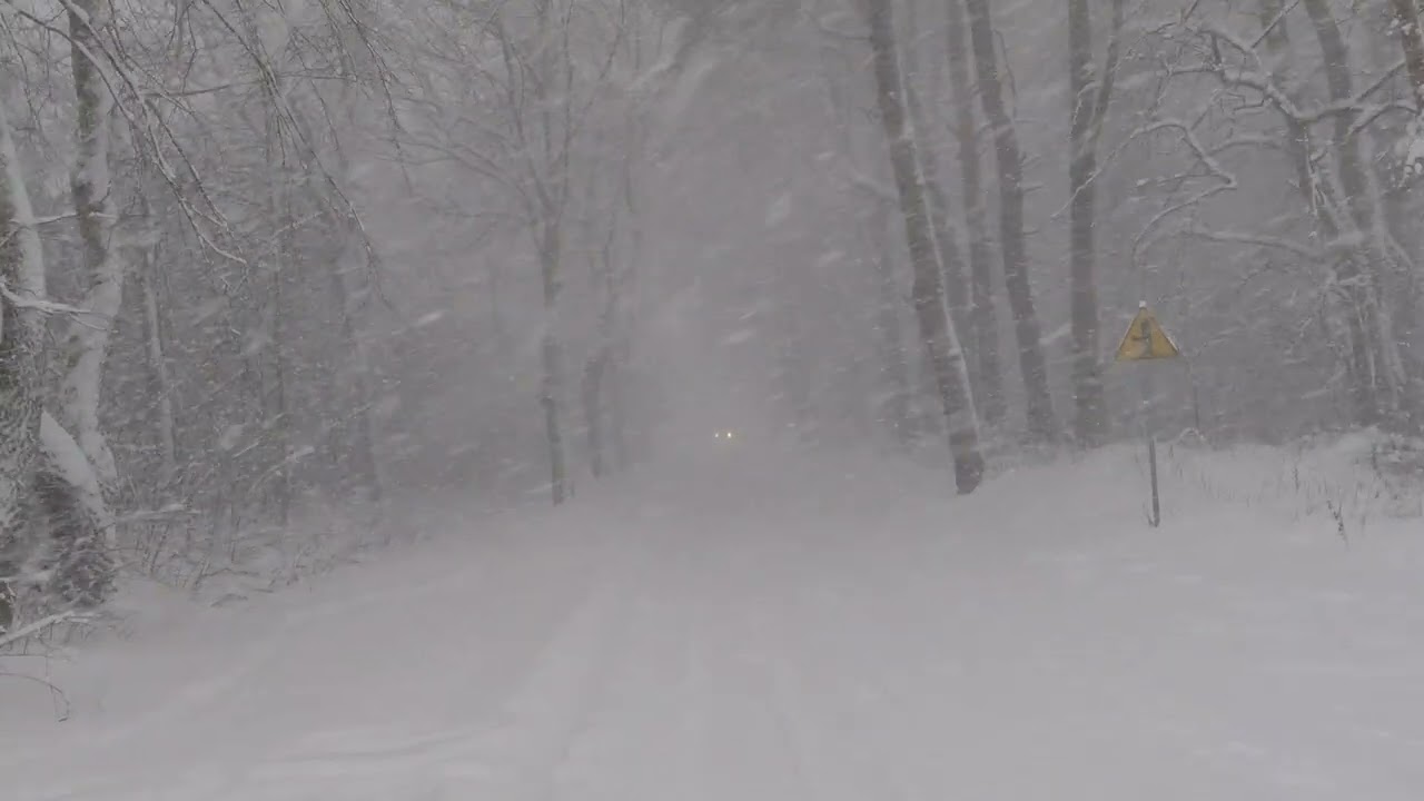 Śnieżyca na Mazurach 30.12.2025 &ndash; Wygryny, Polska 