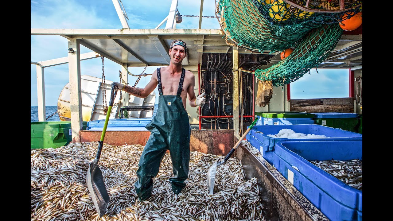"Todays Catch"  Port Dover trailer