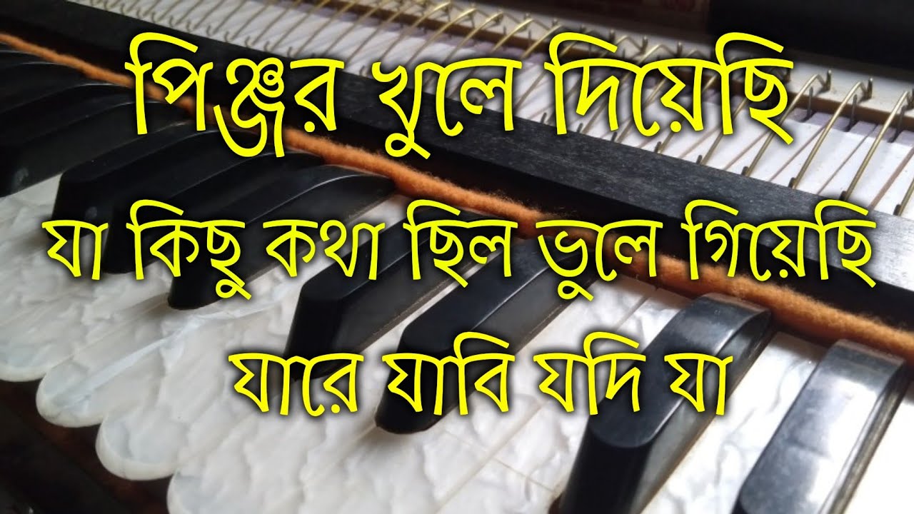 পিঞ্জর খুলে দিয়েছি যা কিছু কথা ছিল ভুলে গিয়েছি যারে যাবি যদি যা