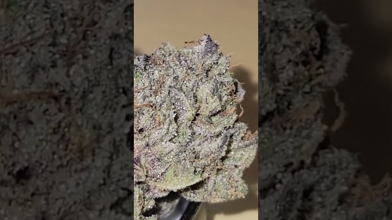 Sour Power OG by KushCo Company.