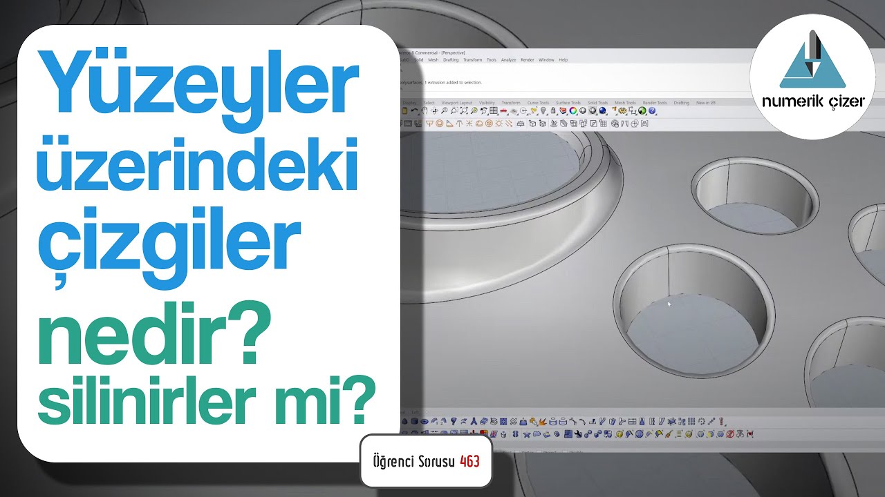 Rhino'da obje üzerindeki IsoCurve ve  Seamline çizgileri nedir? Silinirler mi? - Öğrenci Sorusu 463