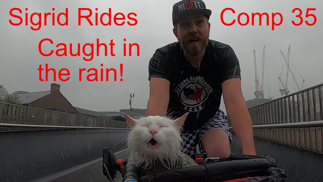 Sigi Rides Compilation 35