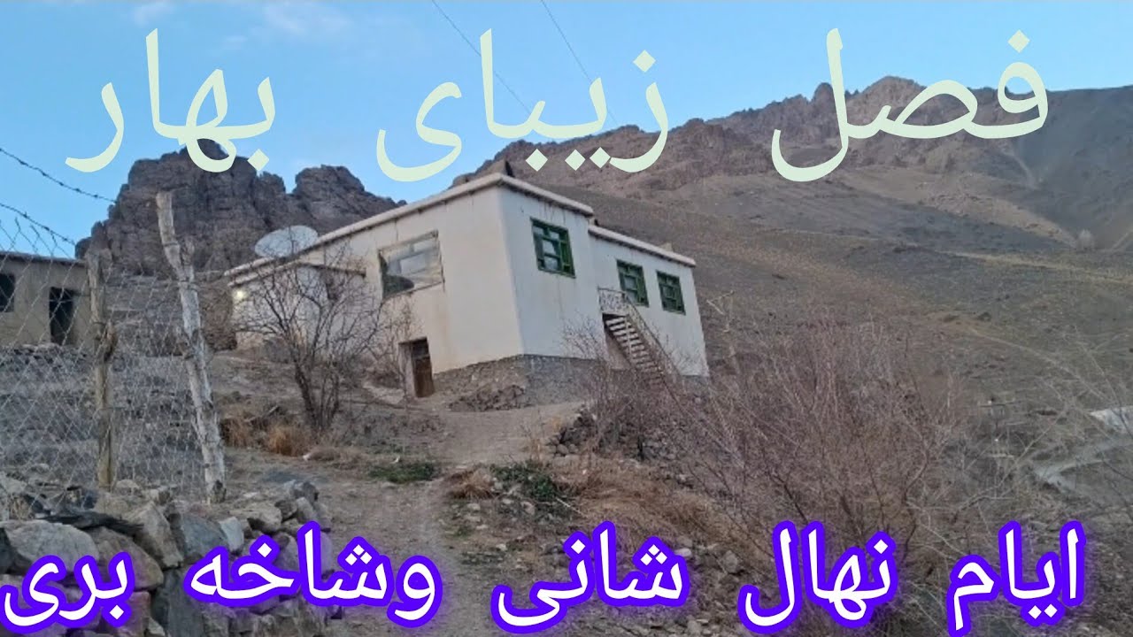 فصل زیبای بهاری وایام نهال شانی وپیوند وشاخه بری 