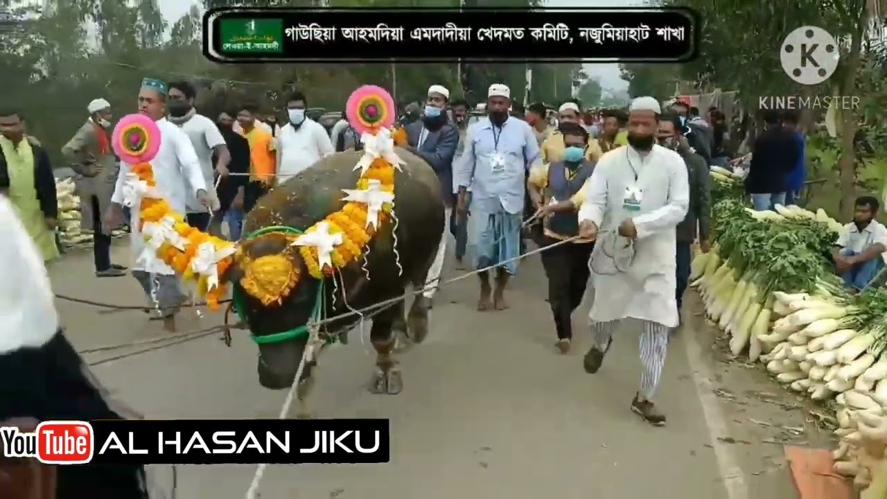 ১০ই মাঘ মাইজভান্ডার ওরশ শরীফে সবচেয়ে সুন্দর হাদিয়া। যেটি টিকটকে বেশি ভাইরাল হয়েছে।