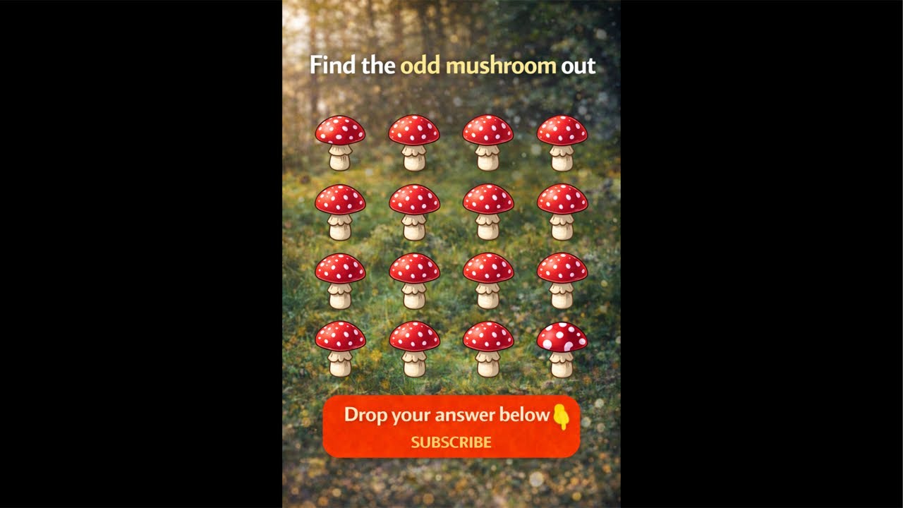 Brain Exercise