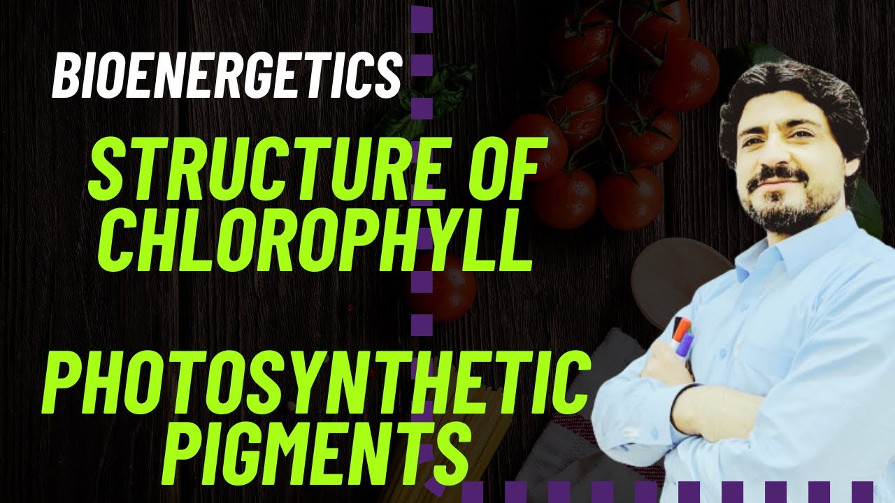 PHOTOSYNTHETIC PIGMENTS # CHLOROPHYLL STRUCTURE #chlorophyll #carotenoids #bioenergetics