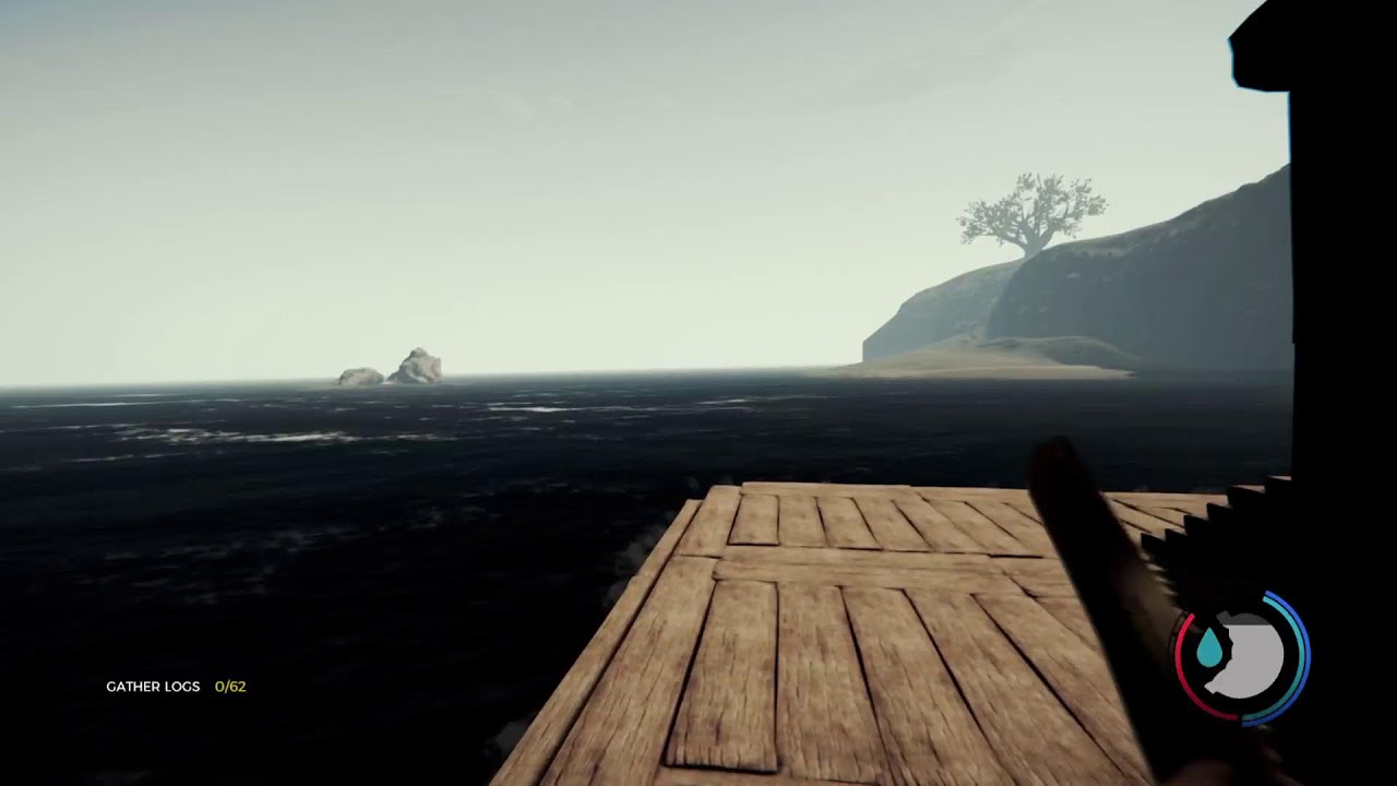 The Forest. Single player. New to game.
