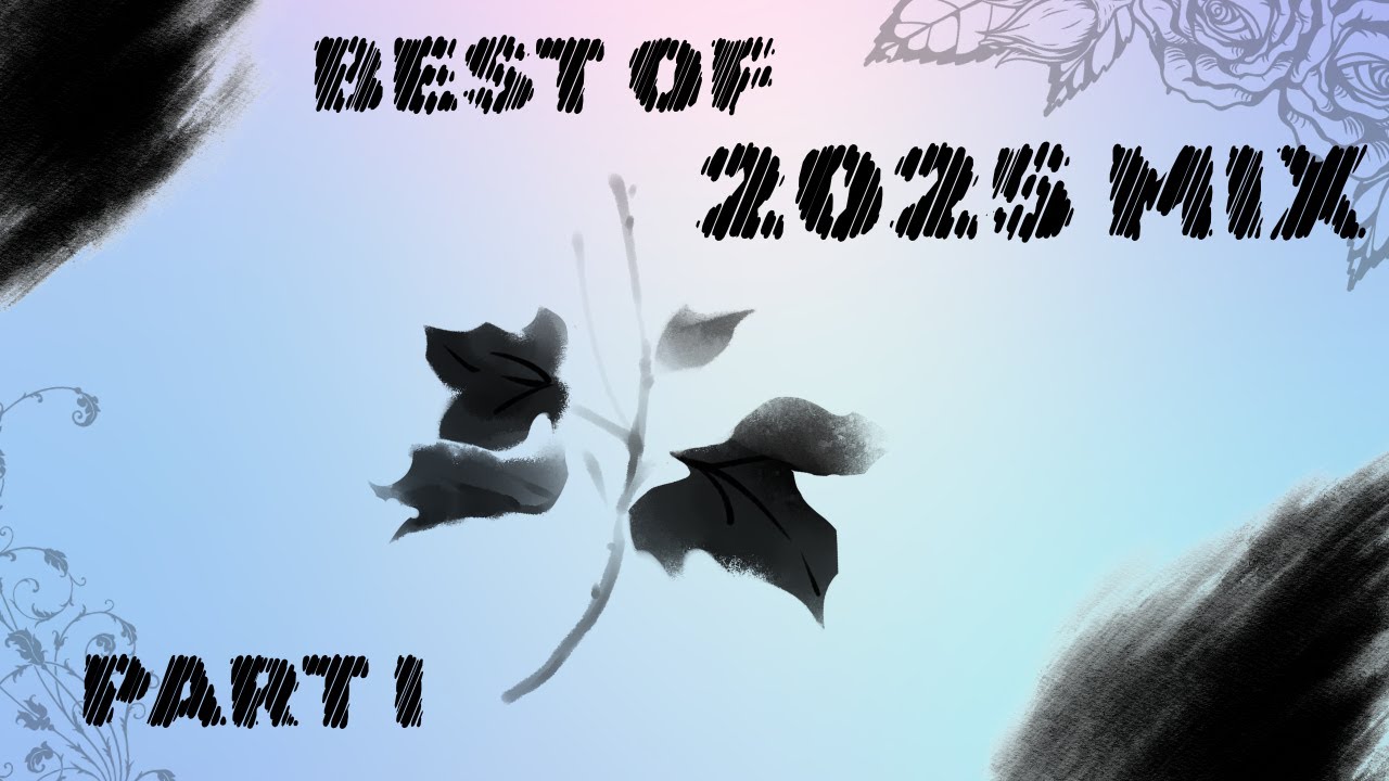 Best of 2025 Mix | Part I