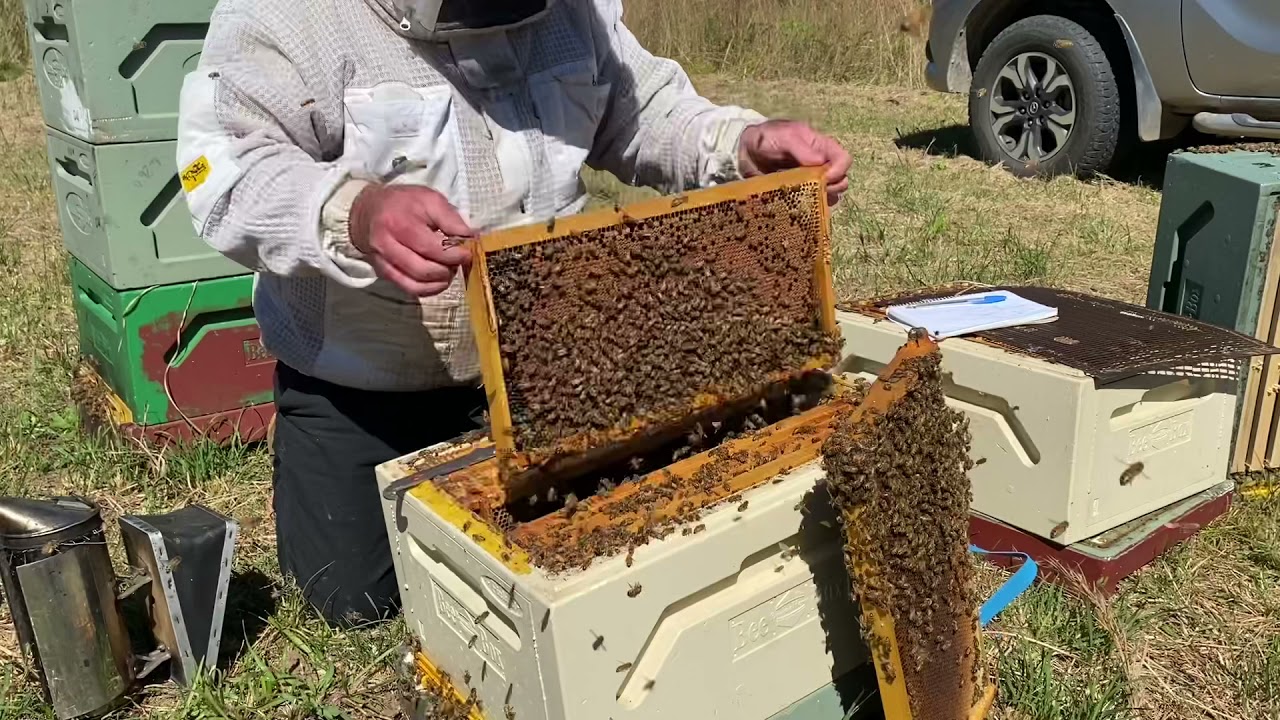 Reducing beehive triples to doubles . Autumn beekeeping tasks. Orara Valley Honey. April 2021.