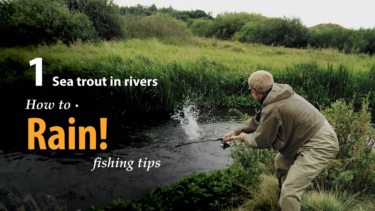 How to • Rain! • Sea trout in Rivers • fishing tips