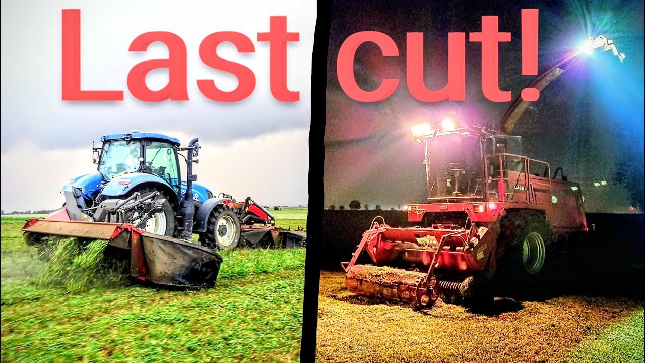 Silage 2023 The last cut! 🔥 CASE Mammut 7800/New Holland's and FORD 8830.