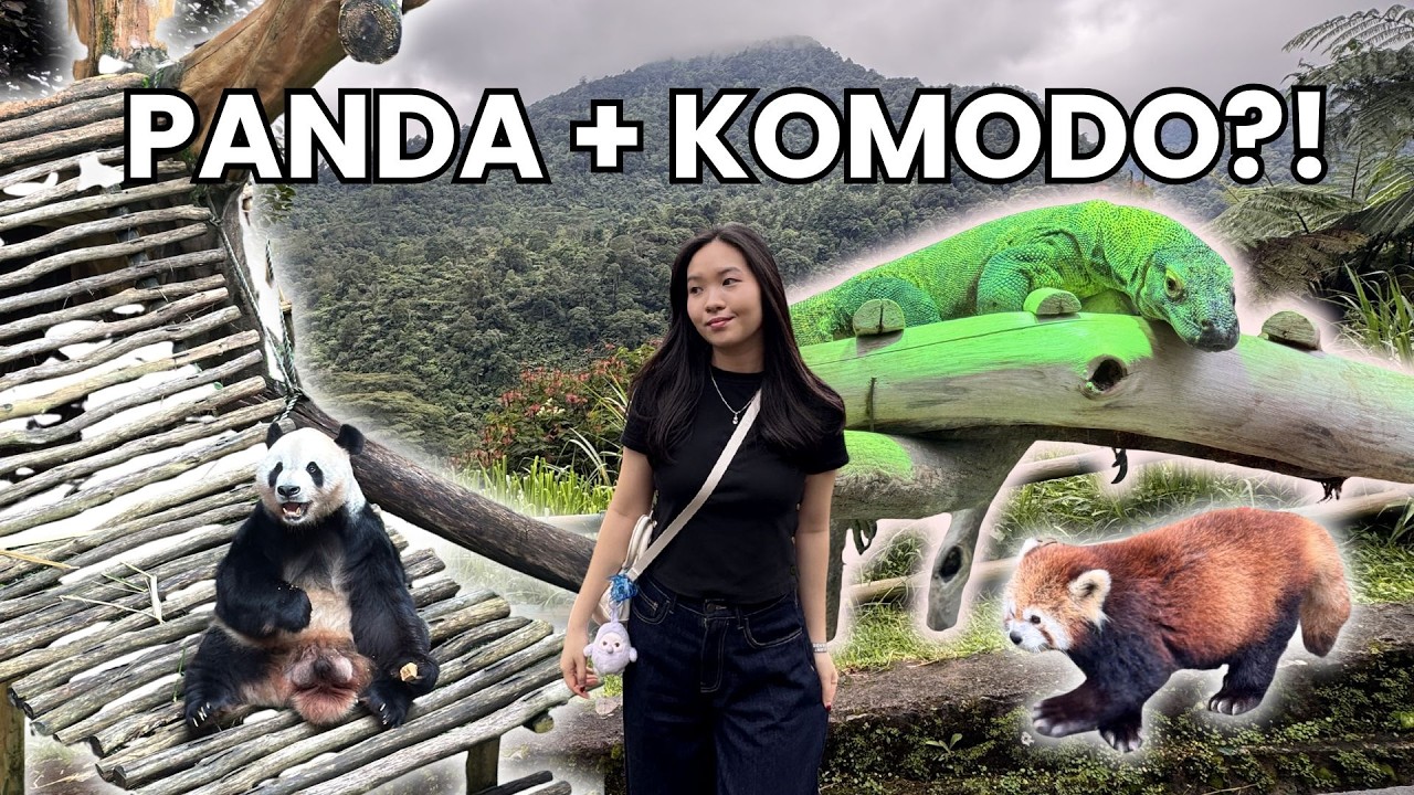 Panda, Red Panda & Komodo Dragon at Safari Bogor?!😱