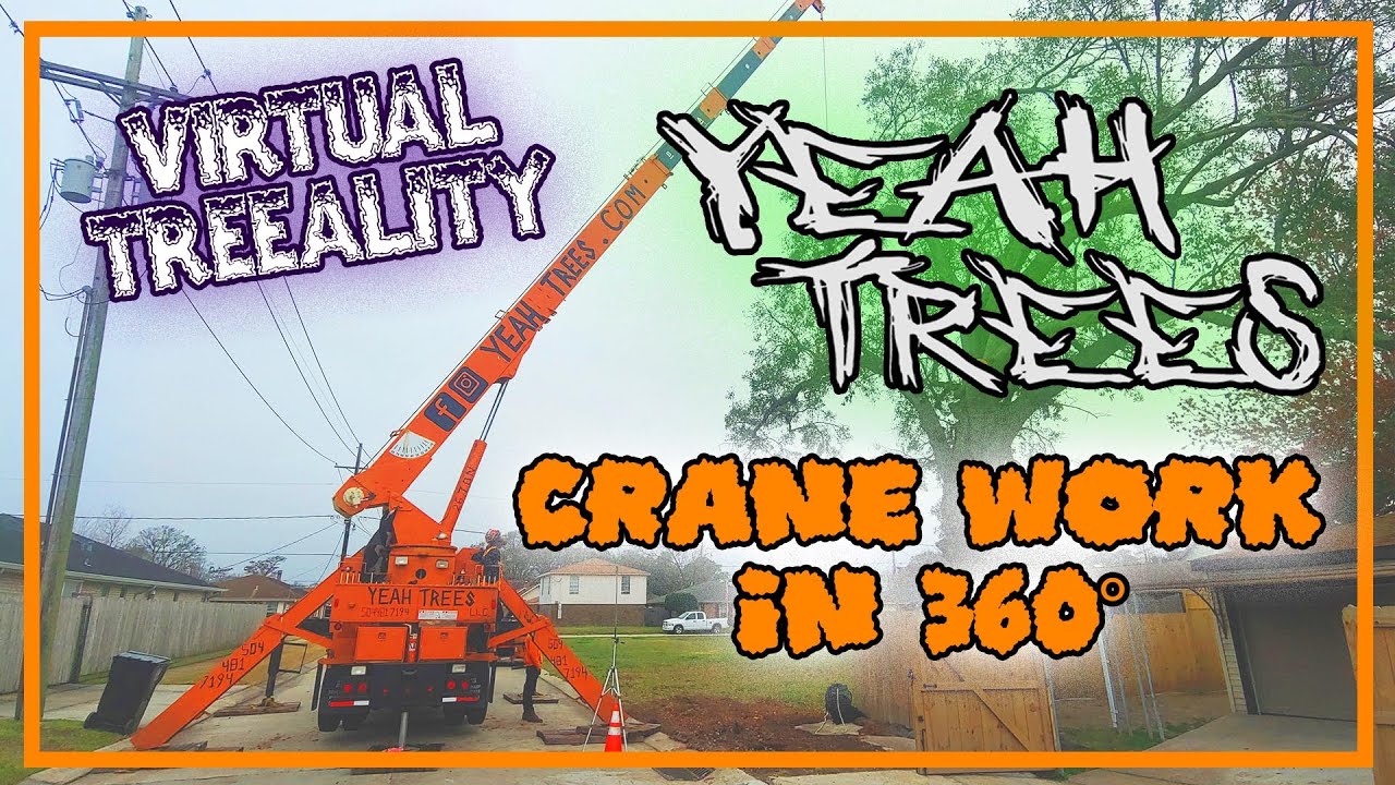 Crane Work in 360&deg; - On site with Yeah Trees