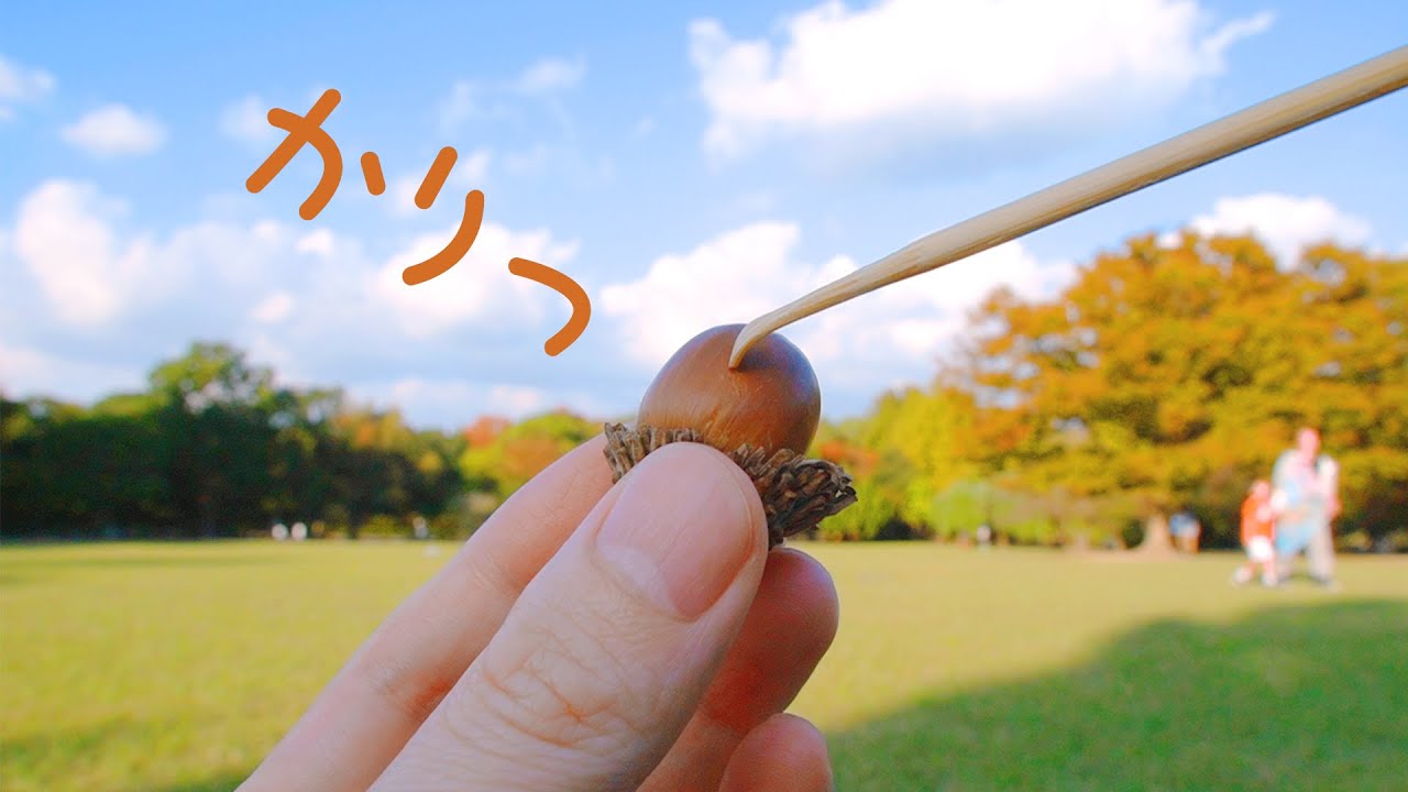 ASMR 公園でピクニック耳かき (Public・お散歩)
