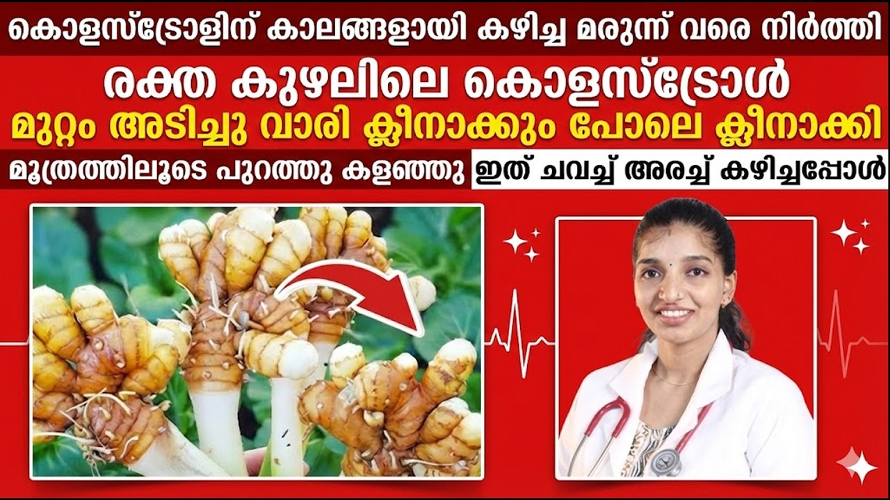കൊളസ്‌ട്രോൾ മരുന്നില്ലാതെ കുറക്കാൻ ഇത് ചവച്ചരച്ചു കഴിച്ചാൽ മതി | cholestrol kurayan | dr.ashna