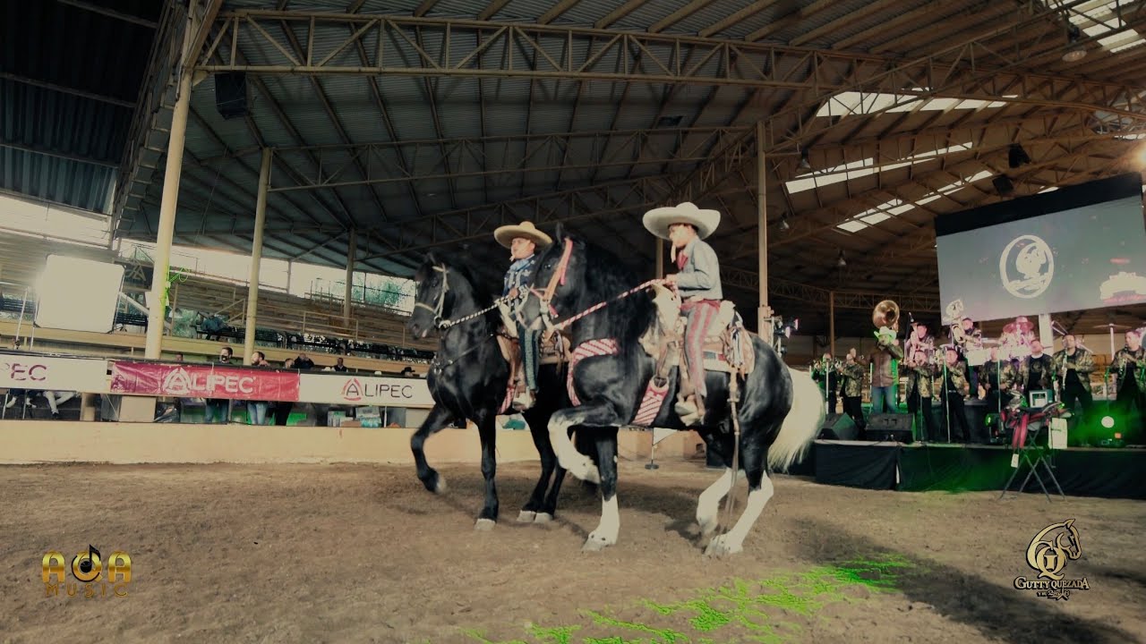 Cuadra Solís - GUTTY QUEZADA - Pa mis amigos de a caballo vol. 3