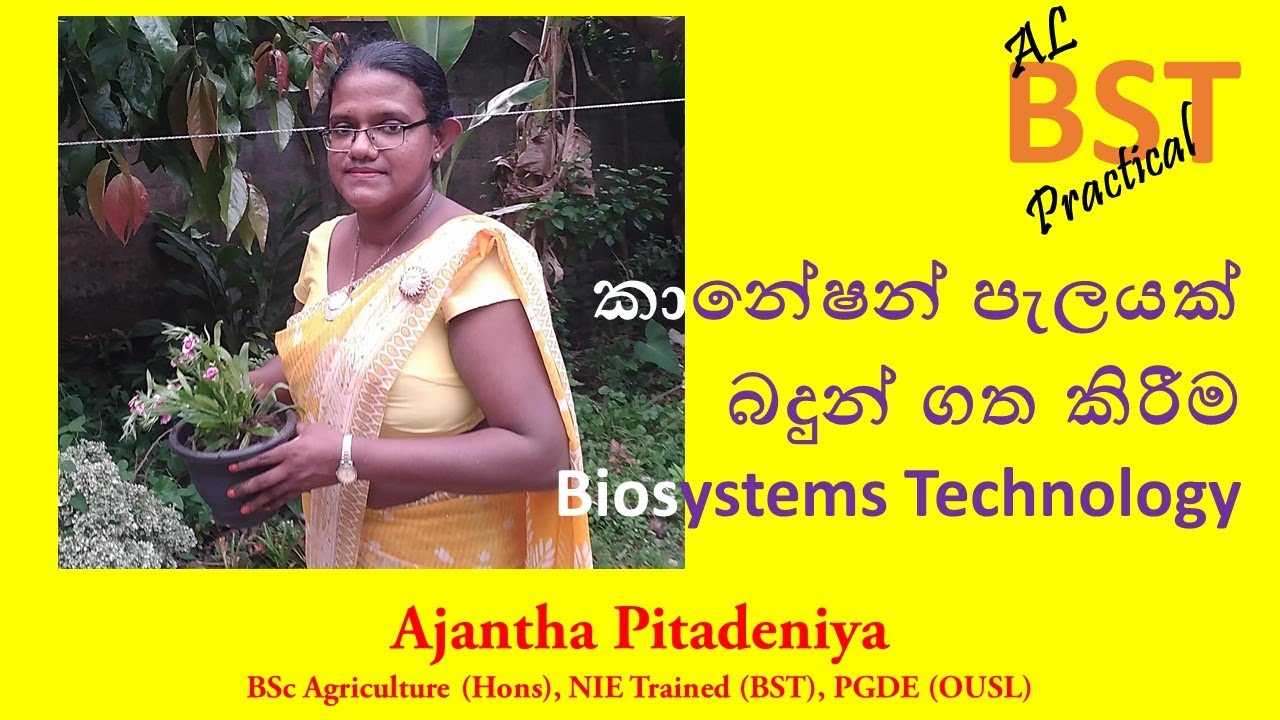 BST Practical | Potting a Carnation Plant | Biosystems Technology