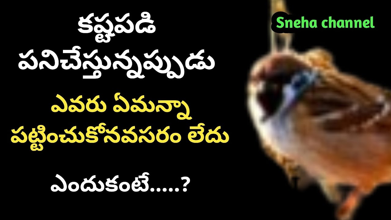 wonderful quotes#887#jivithasathyalu |Million dalar quotes |‌|Sneha channel