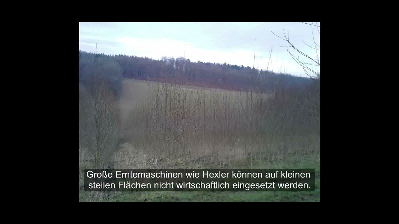 Energieholzernte in Zelking