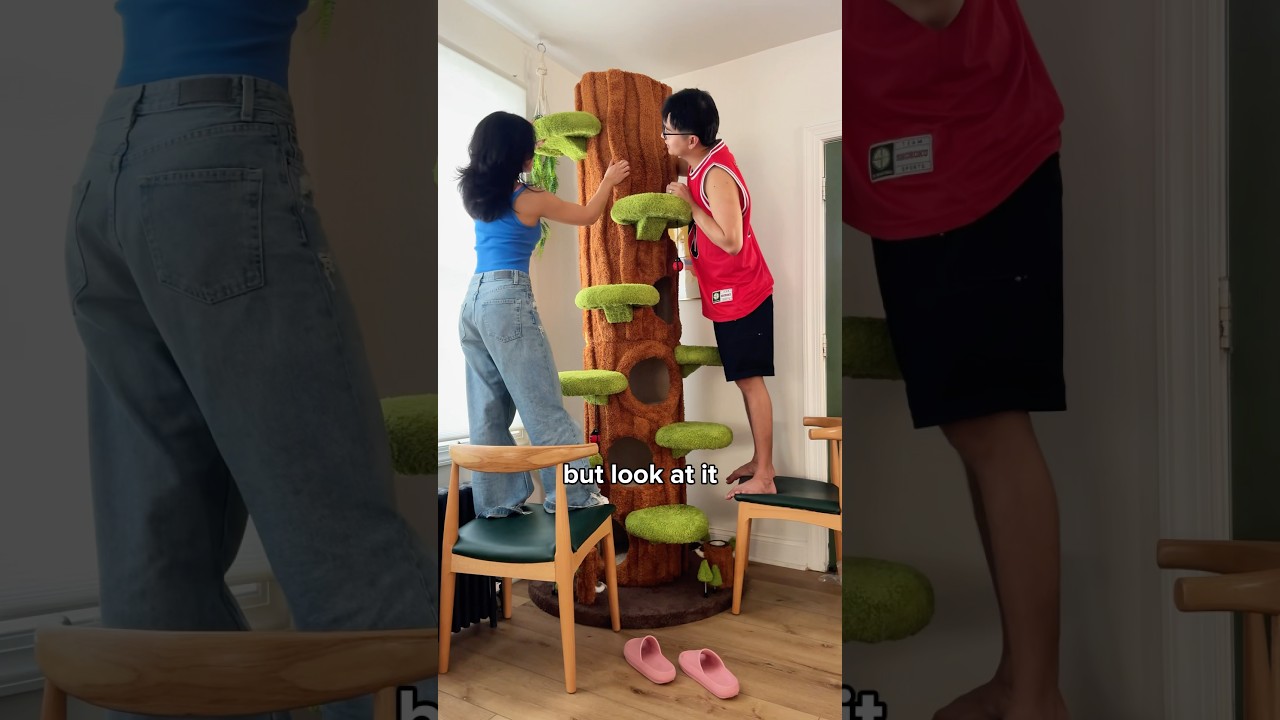 Building a GIANT Cat Tree