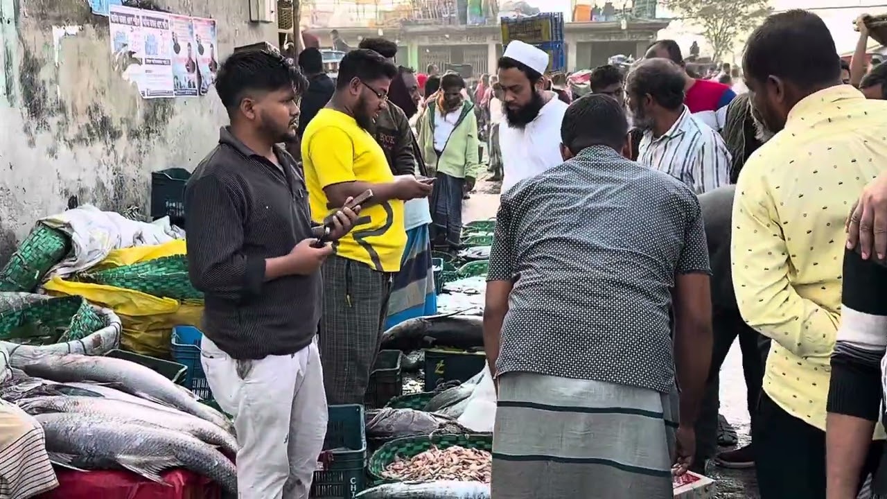 চট্টগ্রামের মাছের আরত ফিসারি ঘাট থেকে মাছের পাইকারি দাম জানুন।