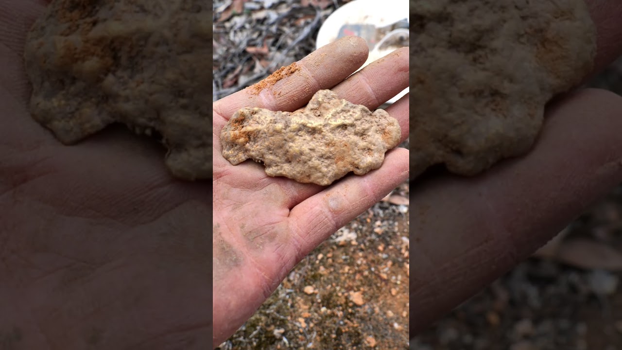 Life-Changing Gold Nugget!