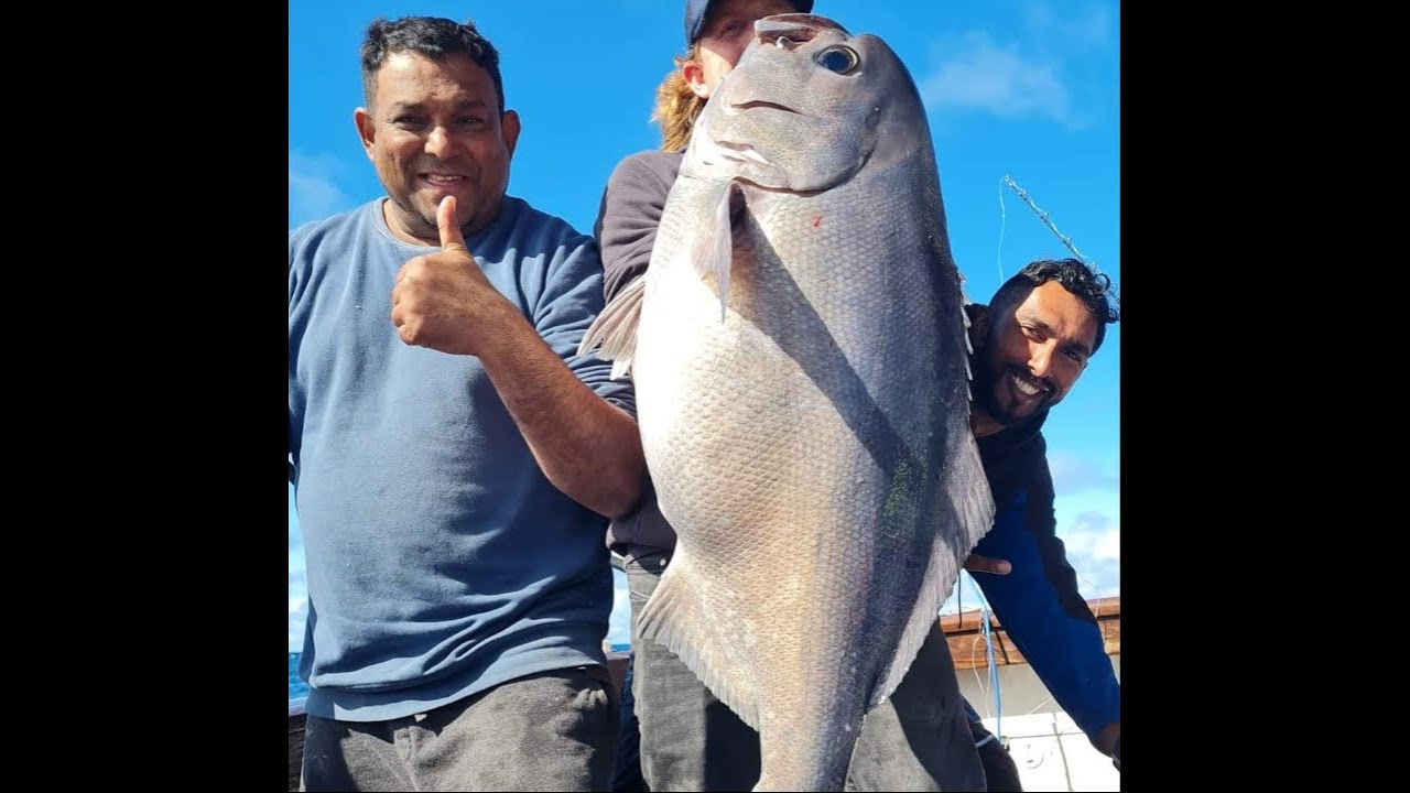 DEEP SEA FISHING NZ.... Deep drops for bluenose