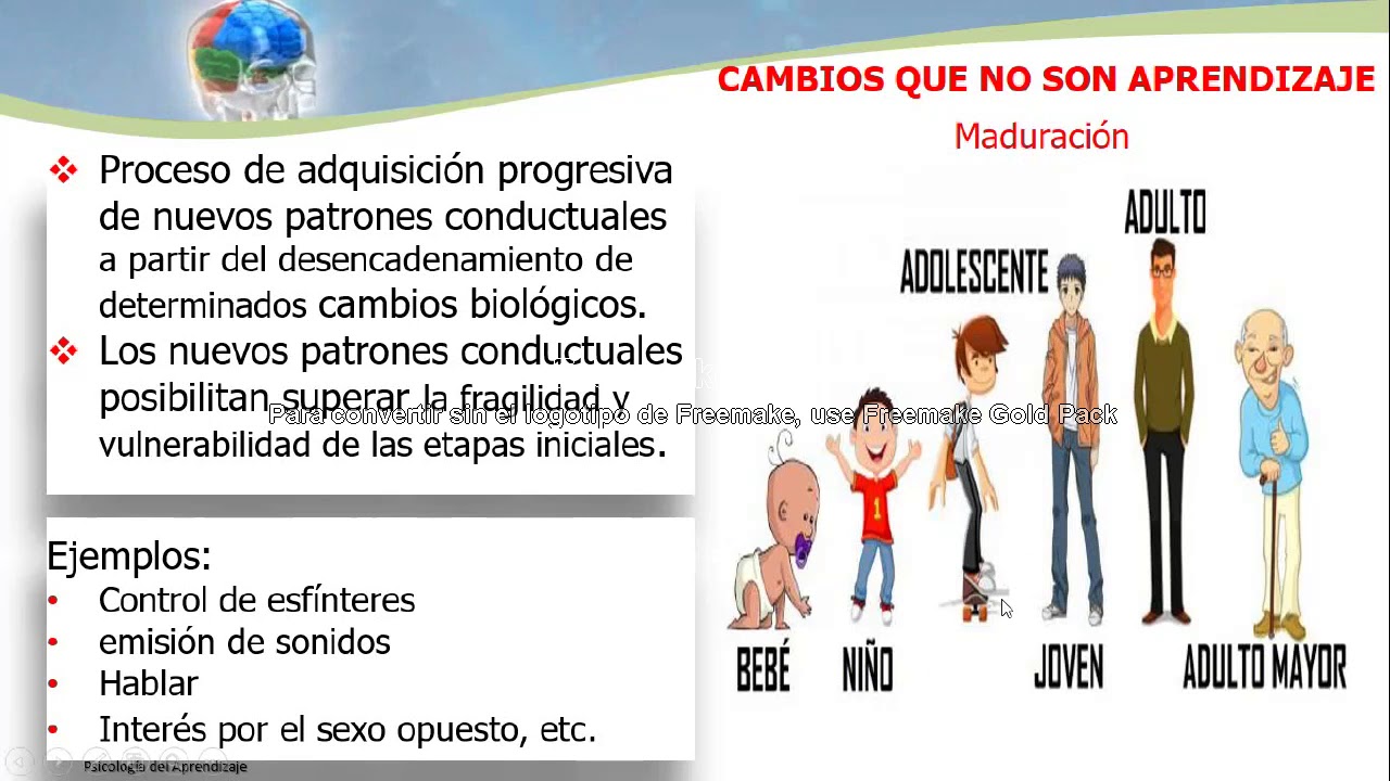 CAMBIOS DE CONDUCTA QUE NO SON APRENDIZAJE