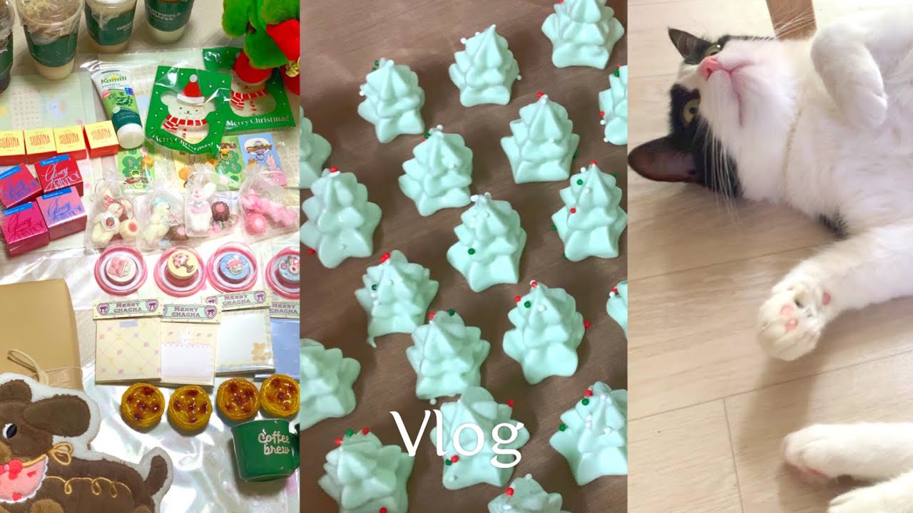 Vlog | 아침 스트레칭, 간장치킨 도시락 준비, 그리고 선물 파티🎄