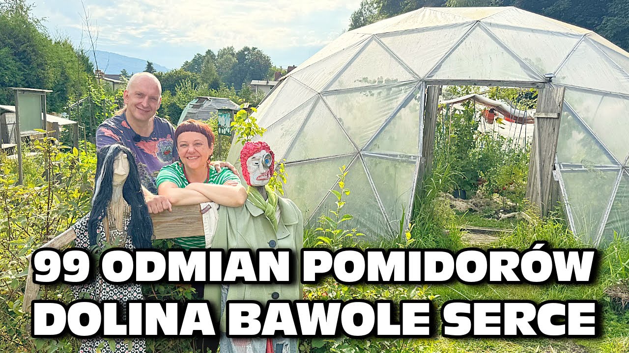 „99 odmian pomidorów” - Dolina Bawole Serce