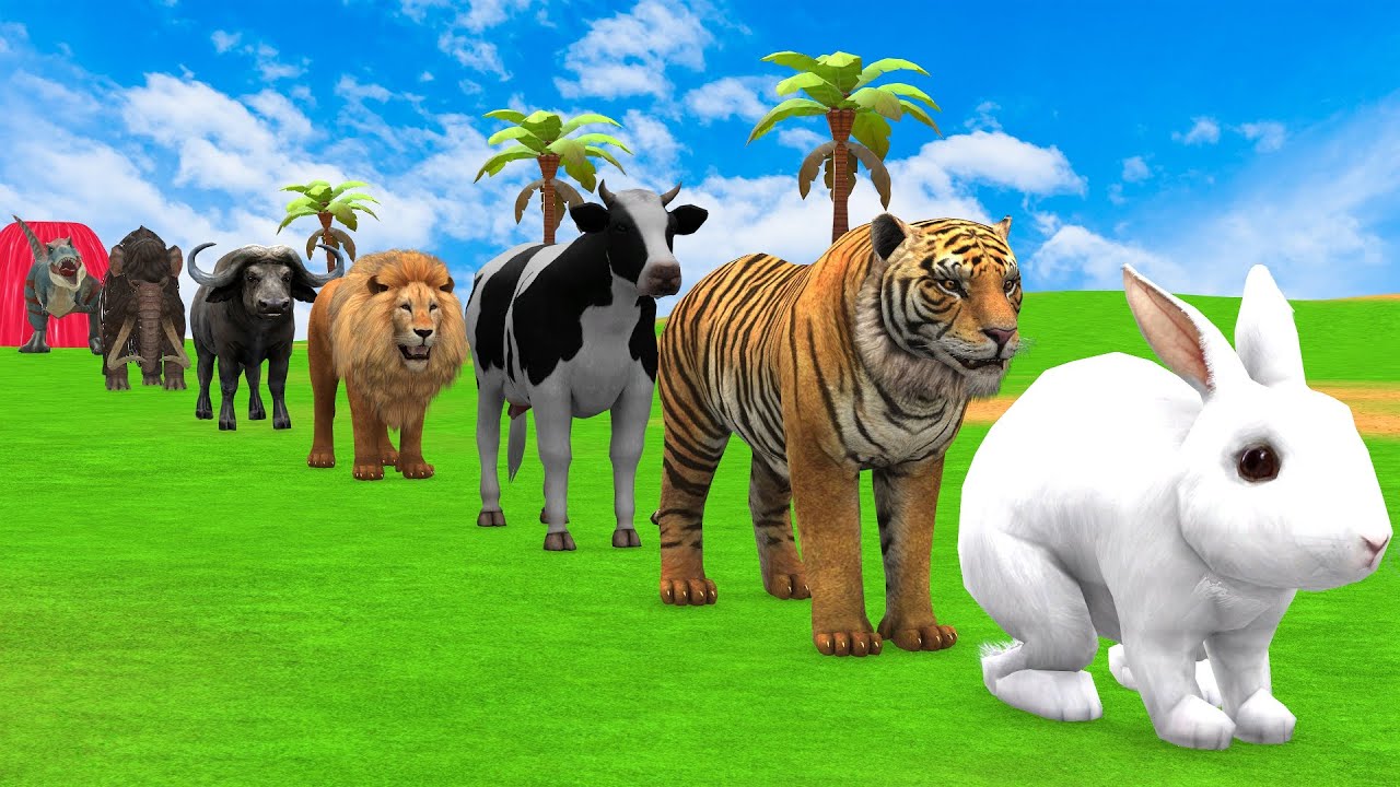 Long Slide Game with Cow Elephant Gorilla Hippopotamus Tiger 3d Animal Game Funny 3d Animals