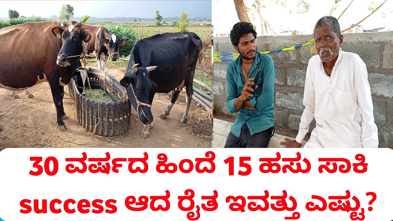 30 ಹಿಂದೆ 15 ಹಸು ಸಾಕಿದ ಅಜ್ಜ ಅವನ ಅನುಭವದ ಮಾತು   #cowfarming #hainugarike #success