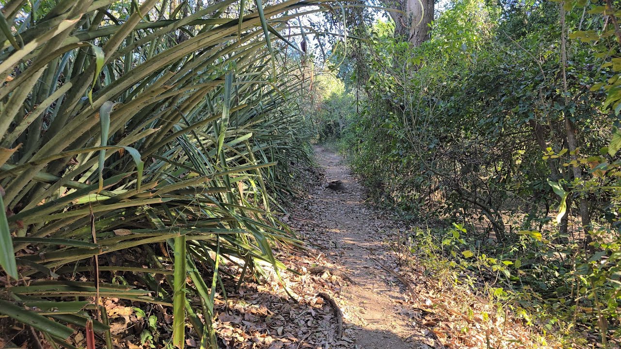 Este Lugar me Llevó 30 años Atras al Caserío Donde yo me Crie🥹🥹🥹