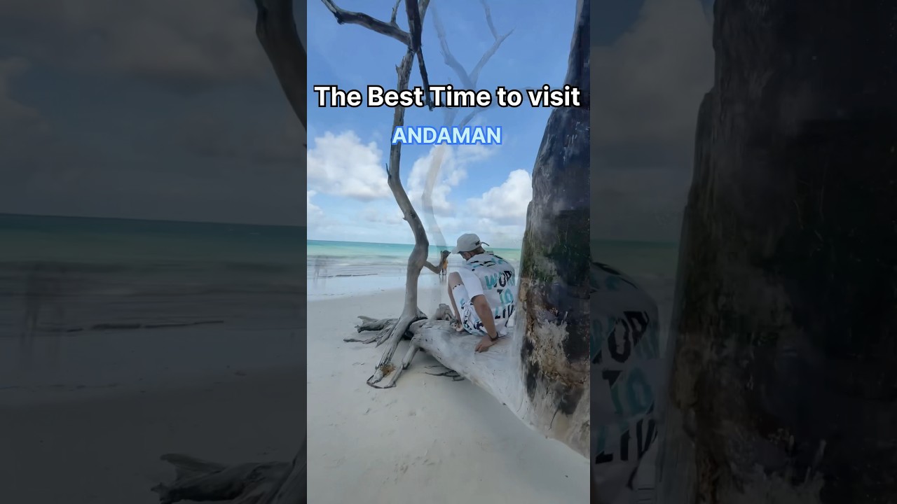 Things you should know before planning to Andaman trip #shorts #travelshorts #andaman #andamantrip
