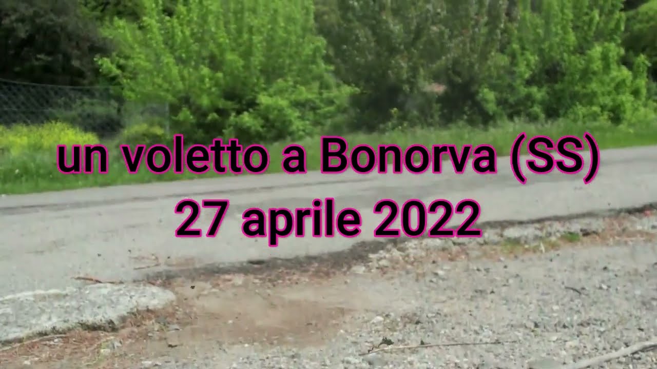 528 Bonorva (SS) 27 apr 2022