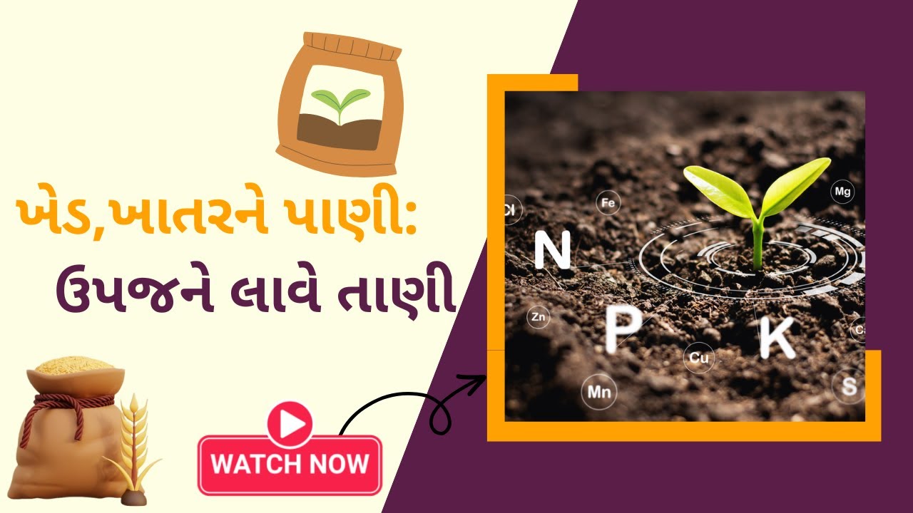 જાણીને નવાઈ લાગશે પાકમાં ખાતરના મહત્ત્વ વિશે | Paakma Khaatar nu che alg mahattv.