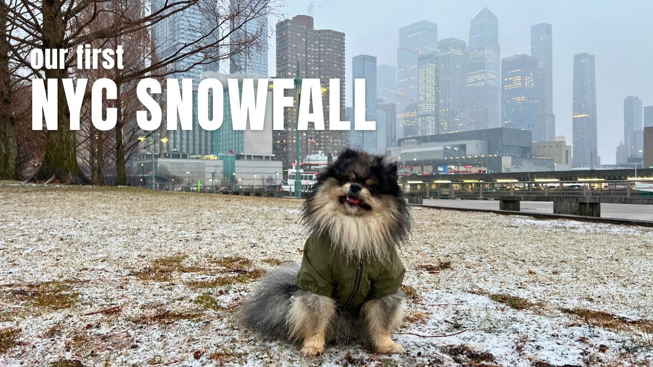 Our First NYC Snowfall | Life in NYC