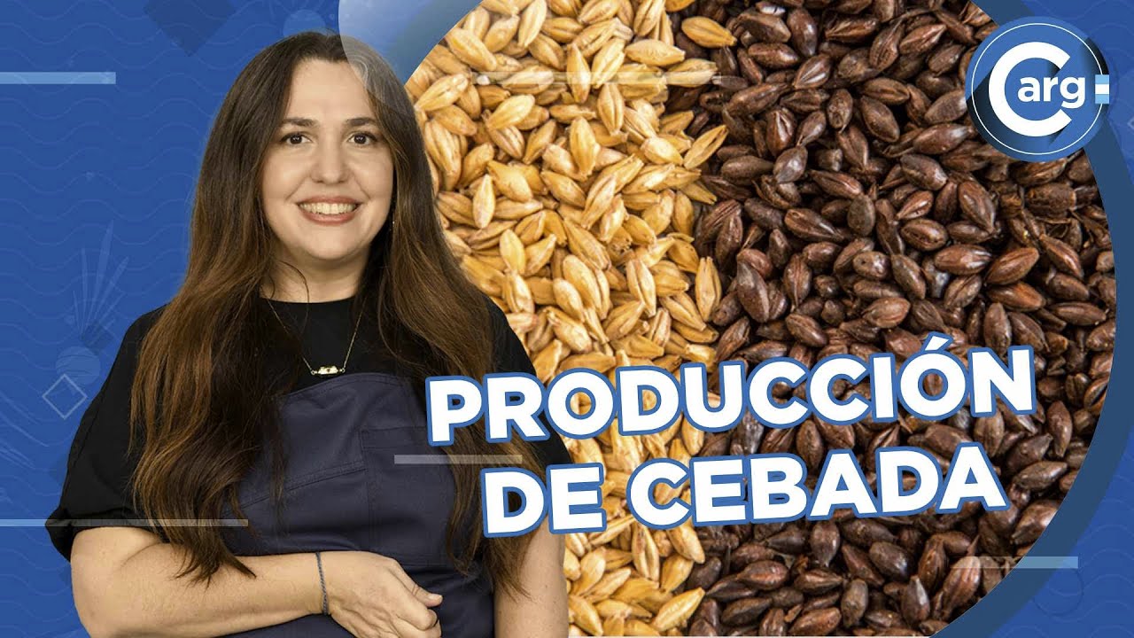 QUÉ ES LA CEBADA
