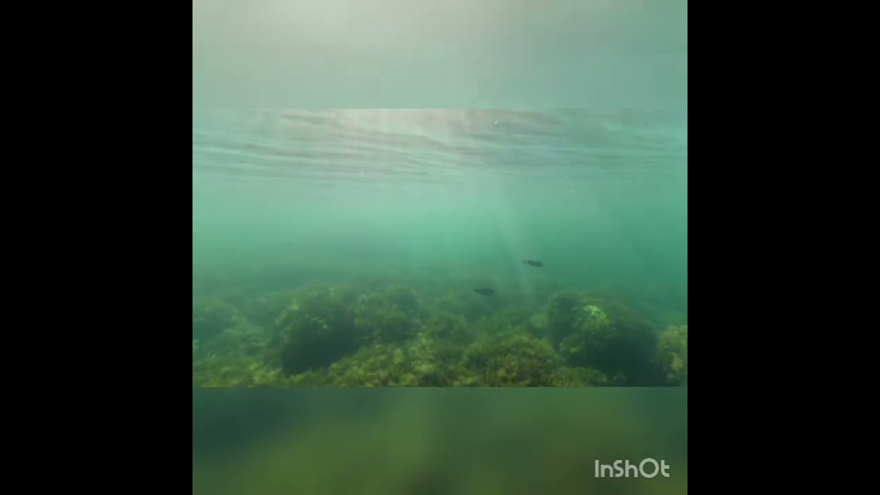 Ahtopol 2021 (underwater)