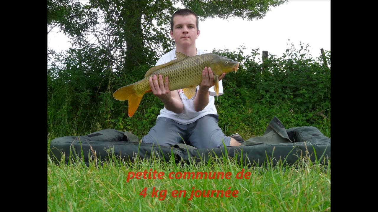 petite progression peche a la carpe