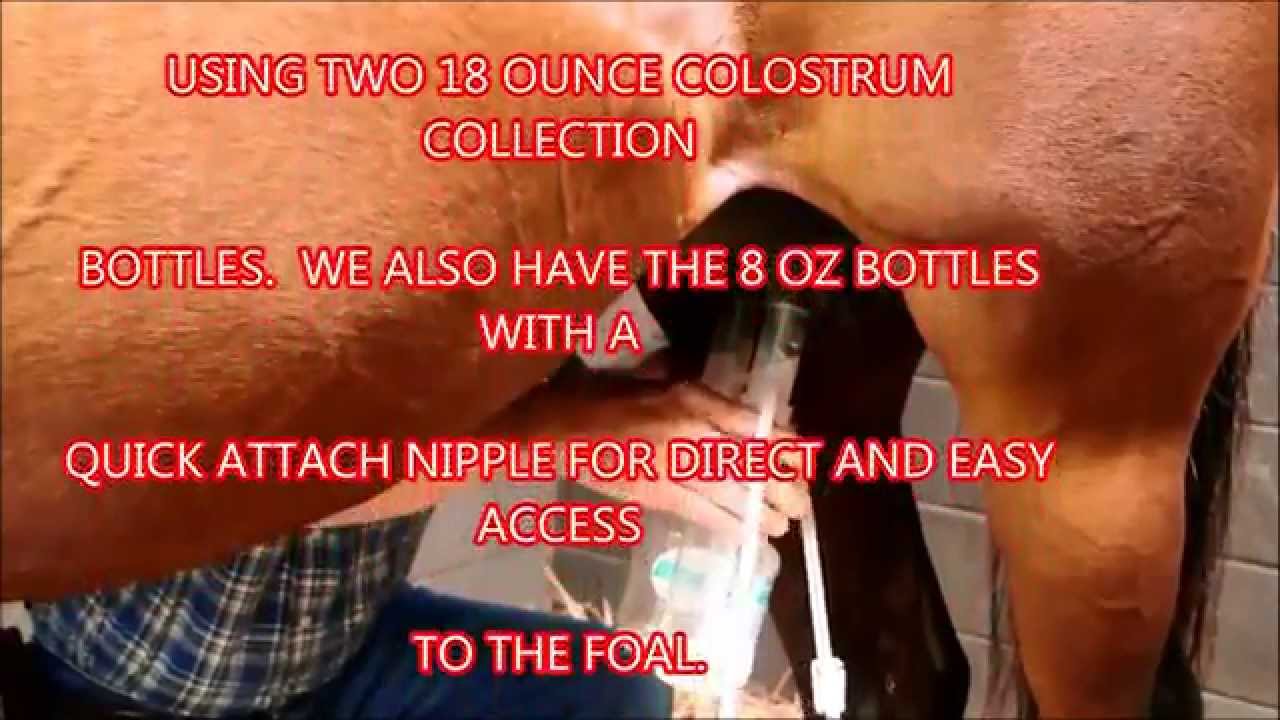 ULTIMATE EZ MARE MILKER