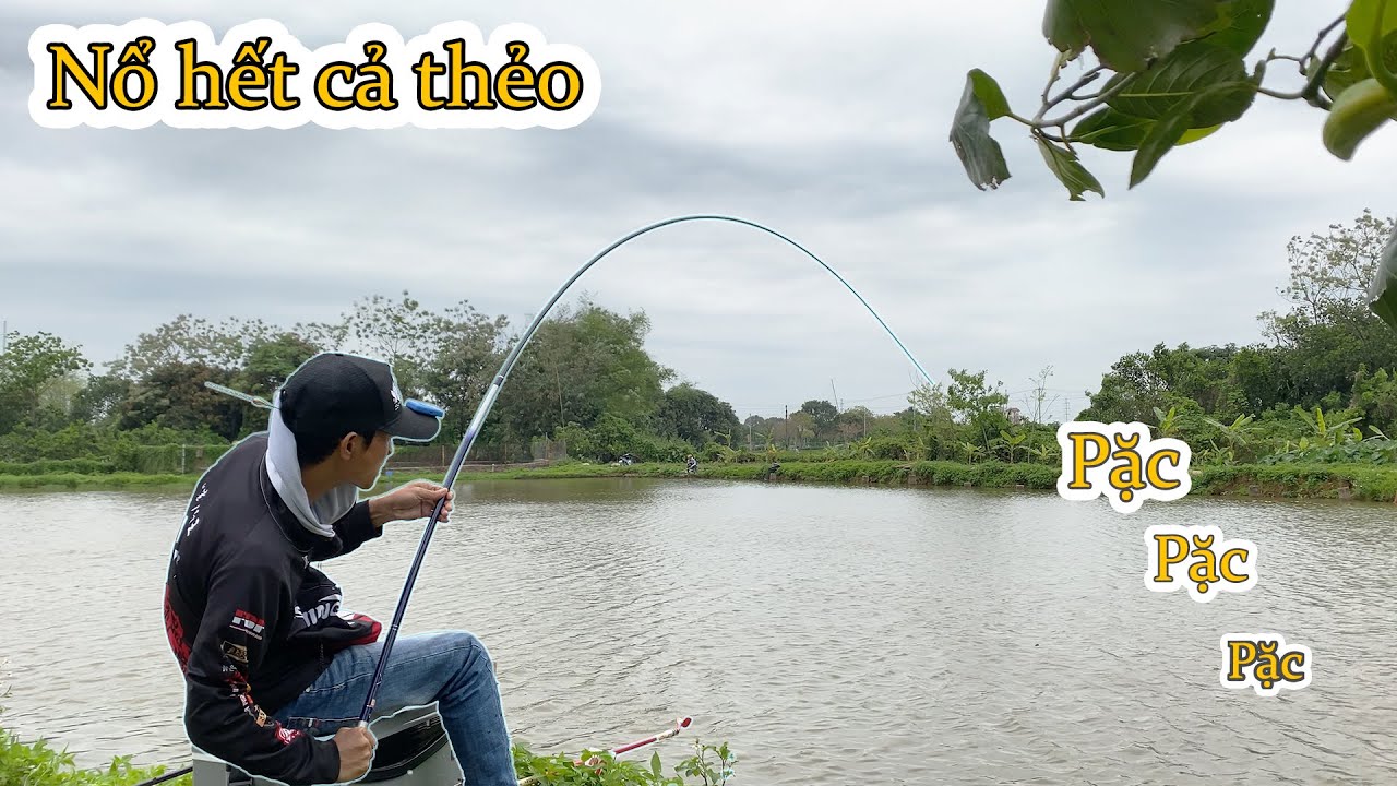67. Đụng độ đàn Rô Phi 