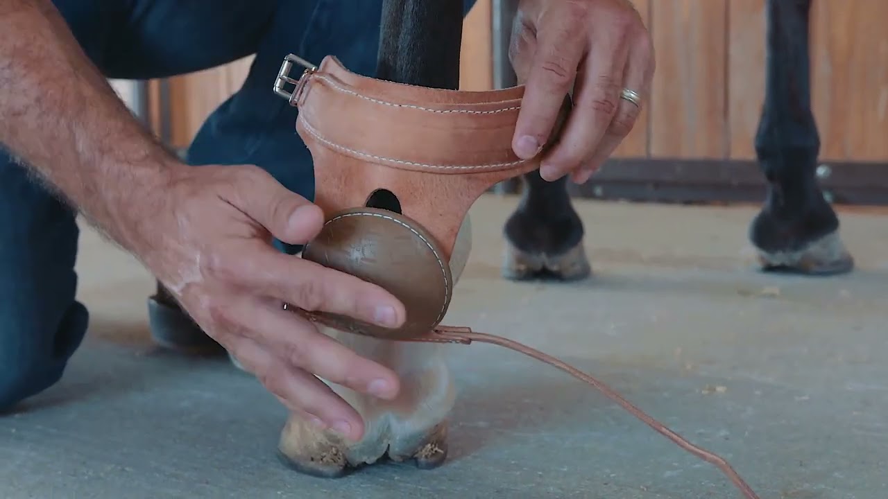 Classic Equine Performance Skid Boot