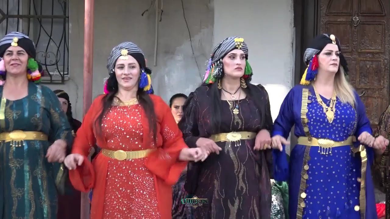 Şenoba Beldesi Oslu ve Unat Ailelerinin Düğünü Klip 1 Şırnak Uludere Düğünleri