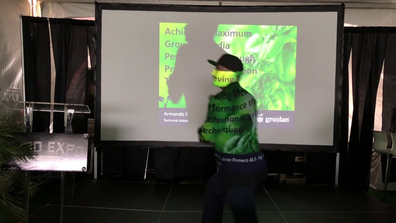 Максимальный урожай каннабиса при профессиональном поливе - Армандо Суарес-Ромеро