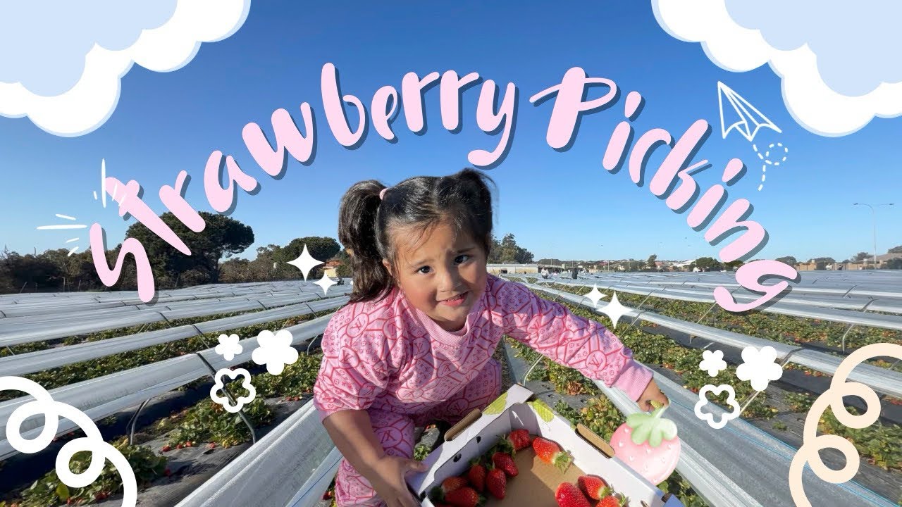 STRAWBERRY PICKING SEASON ON PERTH 🍓