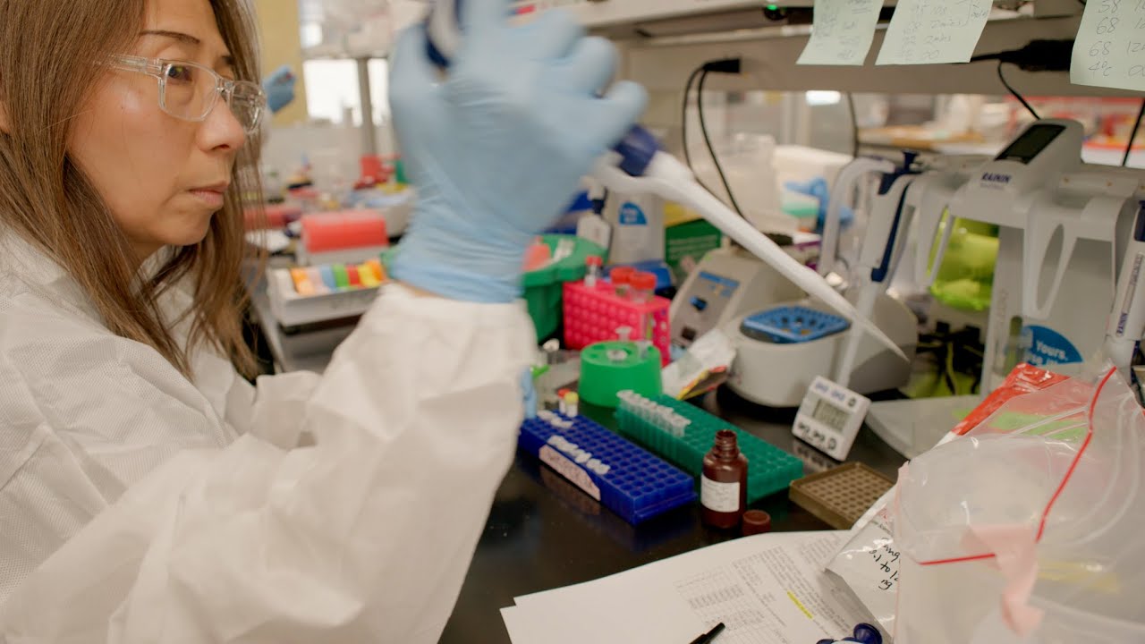 Step inside the McDonnell Genome Institute