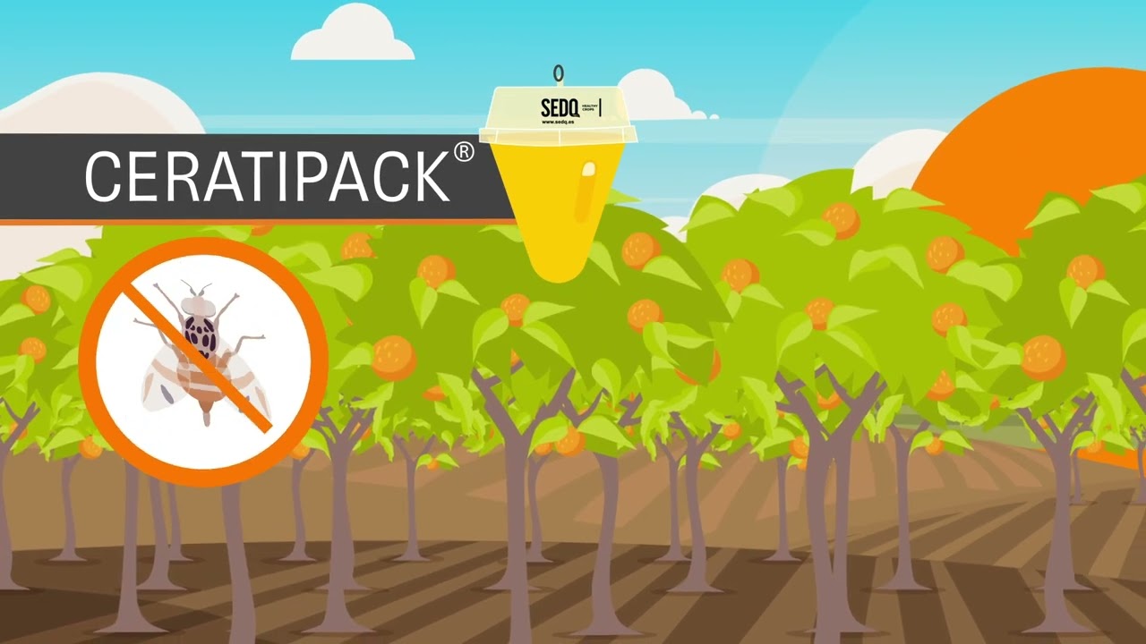 CERATIPACK