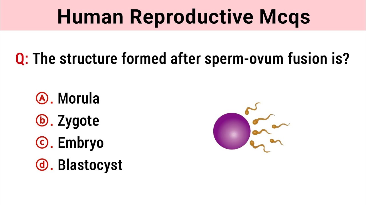 Human Reproductive Mcq | reproductive questions and answers | reproduction mcq